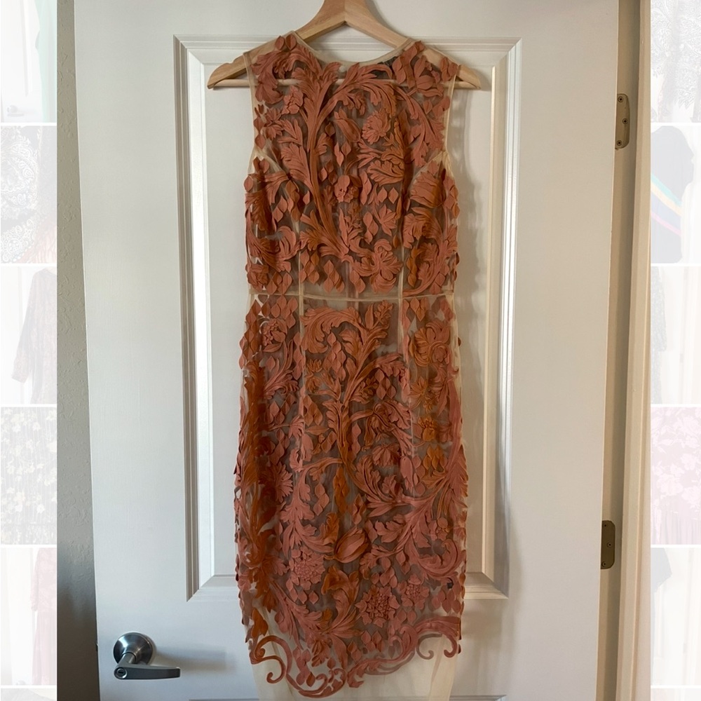 Pankaj & Nidhi Anthropologie Gorgeous Sheer Lace Dress